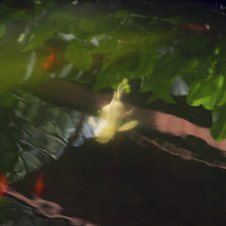 Similar image 7968116