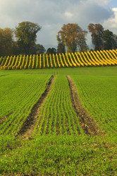 Similar image 7968123