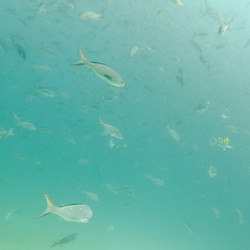 Similar image 7968129