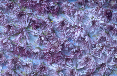 Similar image 7968151