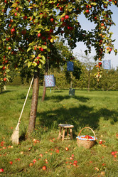 Similar image 7968164