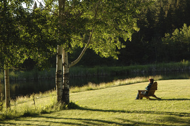 Similar image 7968171