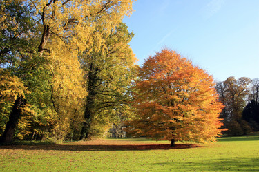 Similar image 7968172