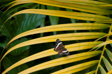 Similar image 7968188