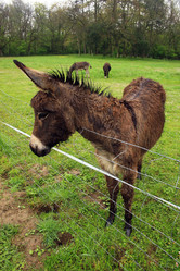 Similar image 7968189