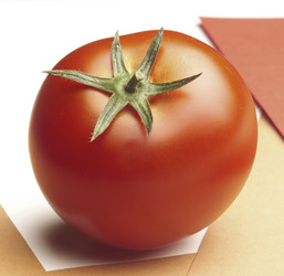 Similar image 7968197