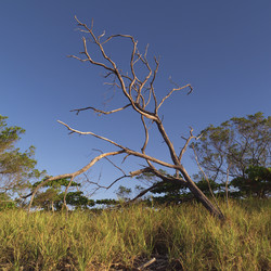 Similar image 7968199