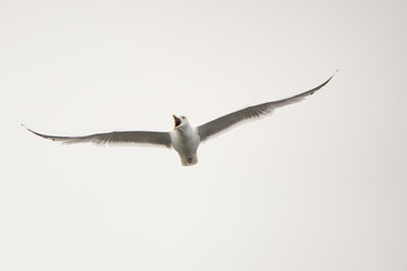 Similar image 7968223