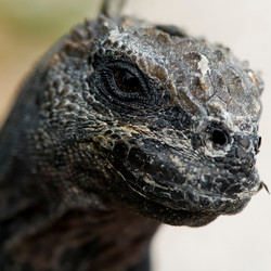 Similar image 7968239