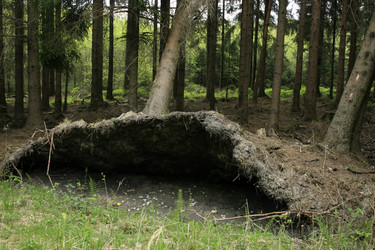 Similar image 7968242