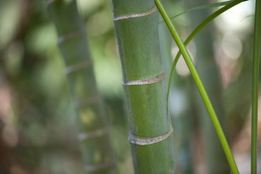 Similar image 7968257