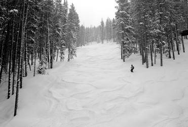 Similar image 7968260