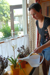 Similar image 7968282