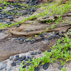 Similar image 7968284