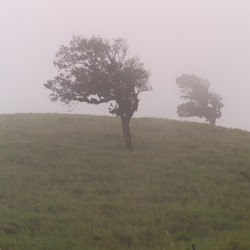 Similar image 7968285