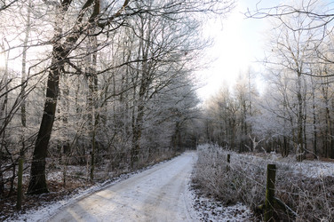 Similar image 7968290