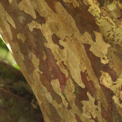 Similar image 7968293