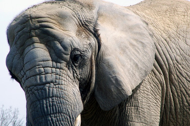 Similar image 7968299