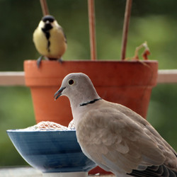 Similar image 7968302