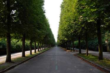 Similar image 7968314