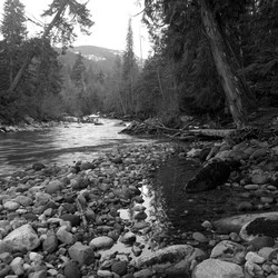 Similar image 7968320