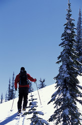 Similar image 7968331