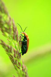 Similar image 7968333