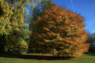 Similar image 7968334