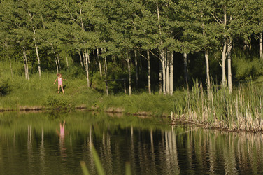 Similar image 7968337