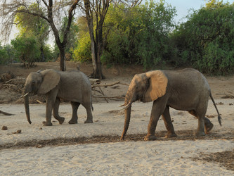 Similar image 7968349