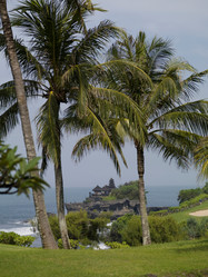 Similar image 7968350