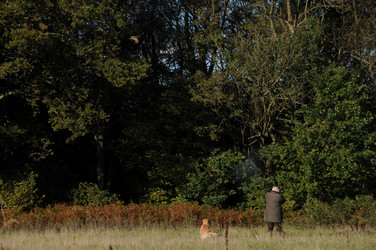 Similar image 7968359