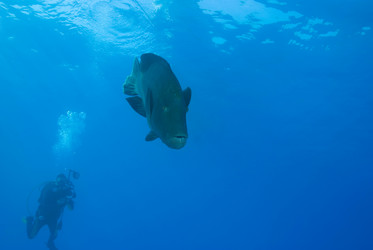 Similar image 7968365