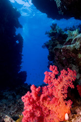 Similar image 7968370