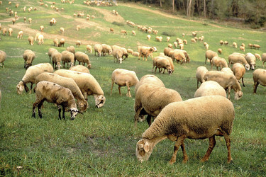 Similar image 7968372