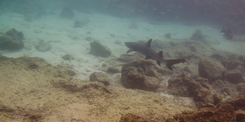 Similar image 7968378