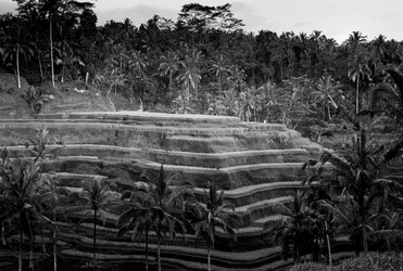 Similar image 7968381