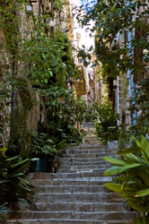 Similar image 7968385