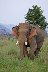 Similar image 7968396