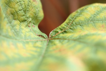 Similar image 7968398