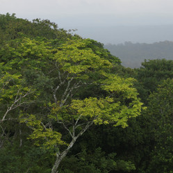 Similar image 7968405