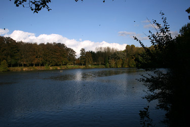 Similar image 7968409