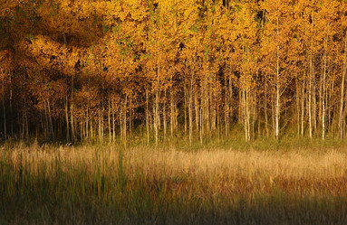 Similar image 7968413