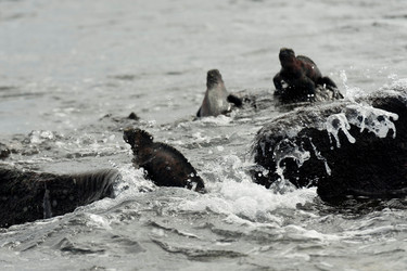 Similar image 7968434