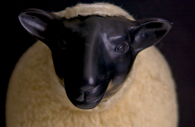 Similar image 7968435