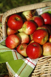 Similar image 7968441