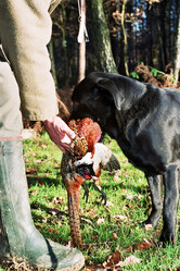 Similar image 7968471