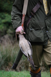 Similar image 7968474