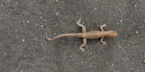 Similar image 7968477