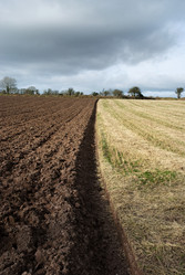 Similar image 7968480